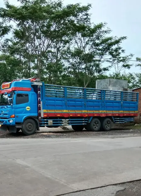 Penyewaan Truk Fuso Terdekat Jakarta Selatan Untuk Angkutan, Solusi Tepat Distribusi Barang Besar dan Efisien
