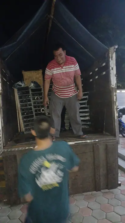 Penyewaan Truk Ekspedisi Rute Bogor Jember, solusi pengiriman untuk distributor bahan bangunan