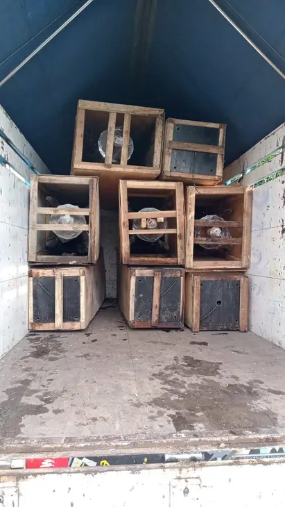 Pengiriman Kargo Harga Bersaing Tangerang Banjarnegara, hemat ongkos